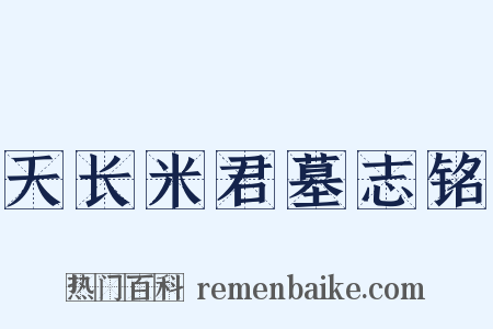 天长米君墓志铭是什么意思的图片